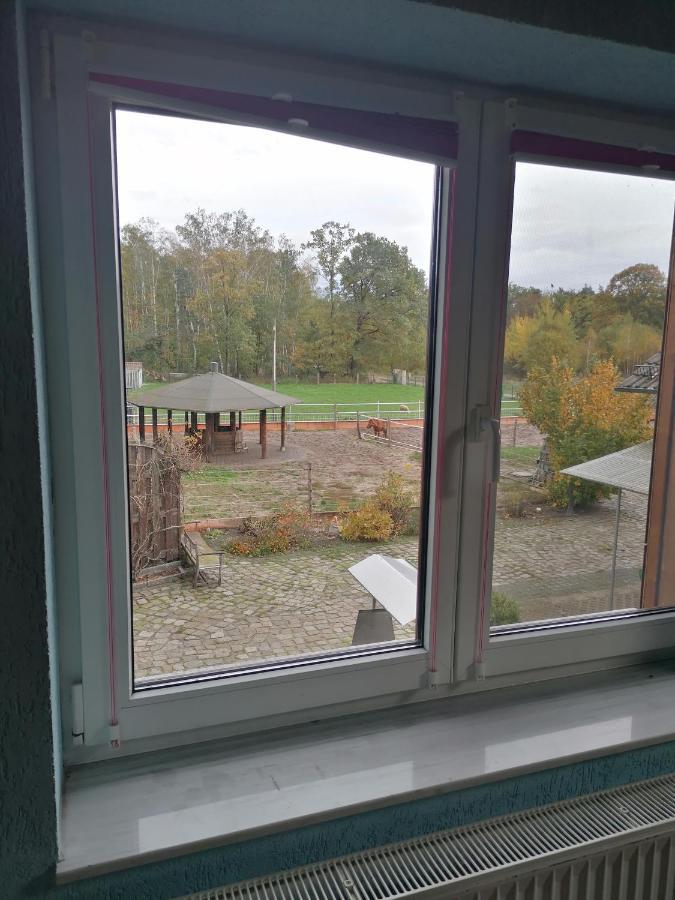 Weidmannsruh Apartment Fuer 2 Bis 3 Personen Frauendorf  Exteriér fotografie